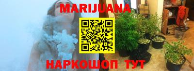 Альфа ПВП Малгобек