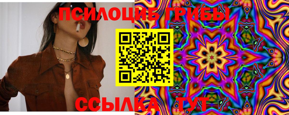 Грязи  закладки  Псилоцибиновые грибы мицелий  Вход с VPN  Псилоцибиновые грибы Psilocybe 
