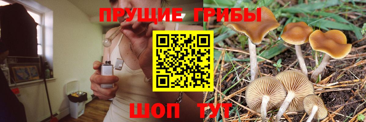 Псилоцибиновые грибы Magic Shrooms Грязи